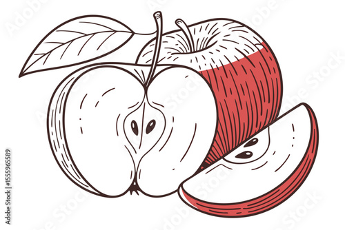 Color and Line Art Apple Vector for Creative Use