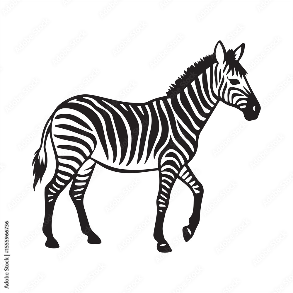 Fototapeta premium plain zebra vector illustration