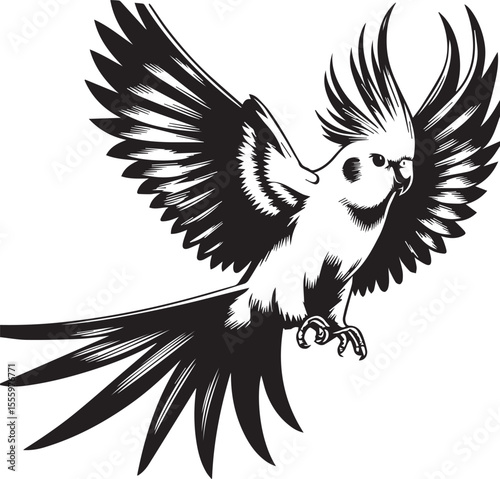 Cockatiel Parrot Vector