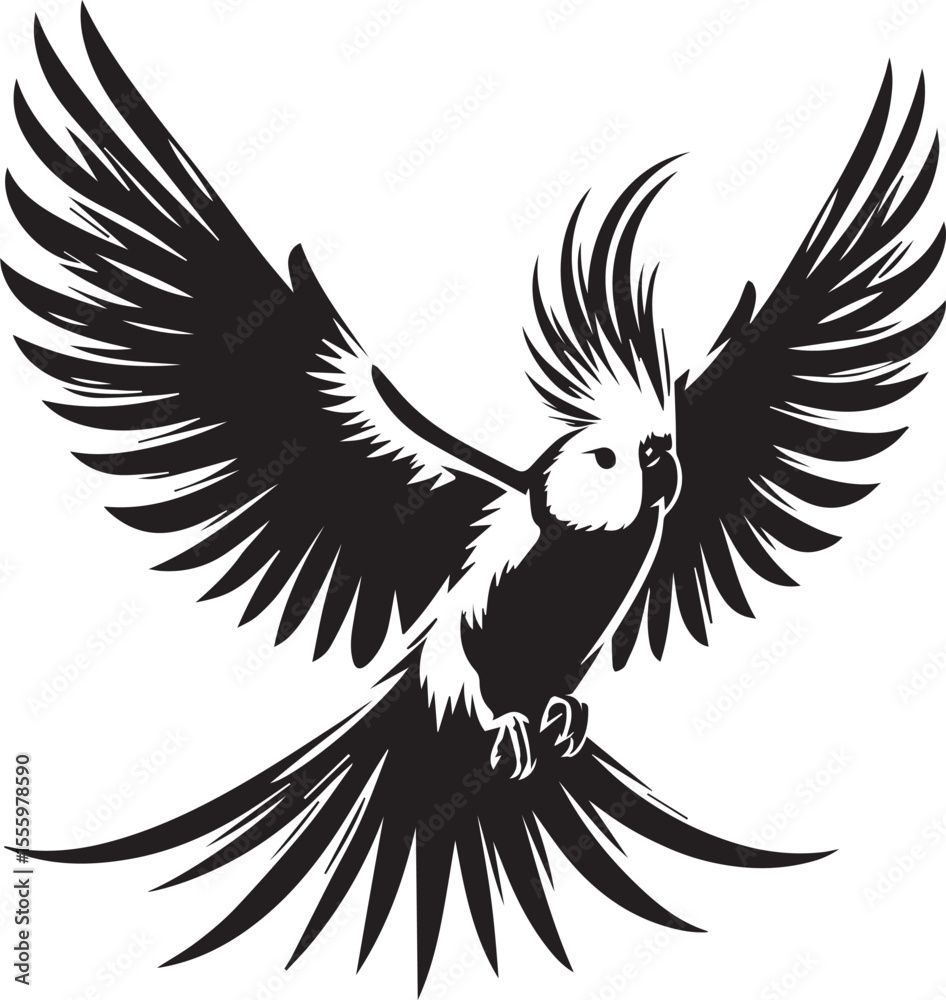 Obraz premium Cockatiel Parrot Vector