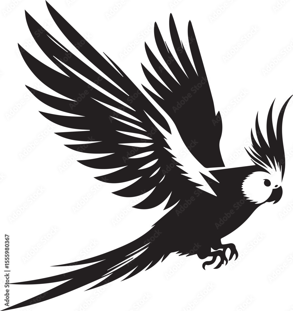 Obraz premium Cockatiel Parrot Vector