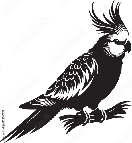 Cockatiel Parrot Vector