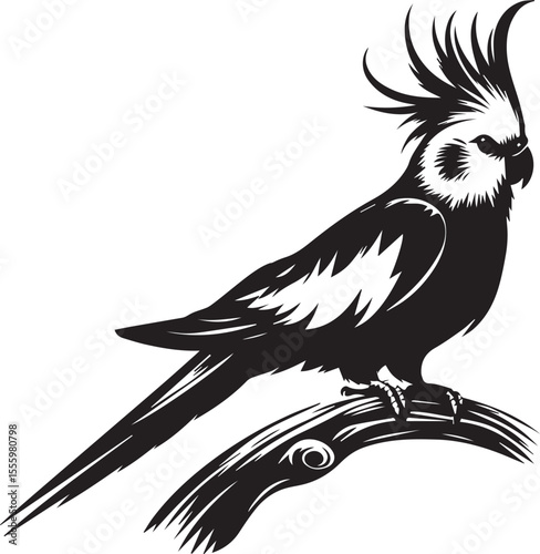 Cockatiel Parrot Vector