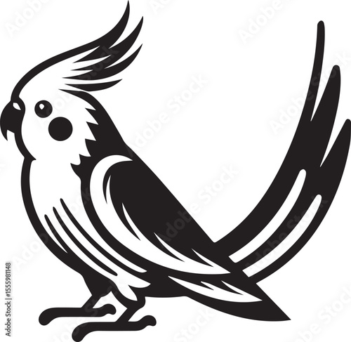 Cockatiel Parrot Vector