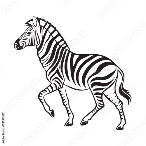 plain zebra vector illustration