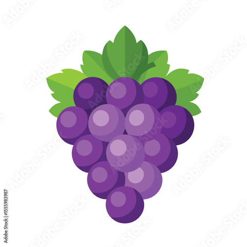 Purple bunch of grapes. Grapes vector illustration. Grapes fruit vector. Vector grape icon