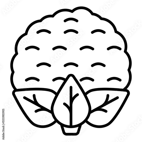 Premium download icon of cauliflower