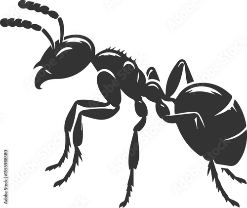 Vector ant silhouette black illustration drawing