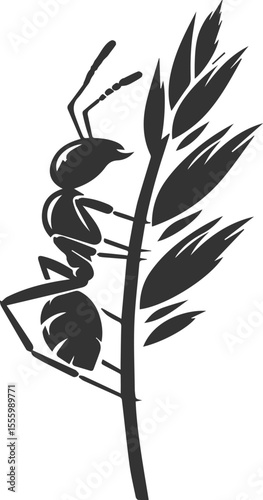 Vector ant silhouette black illustration drawing