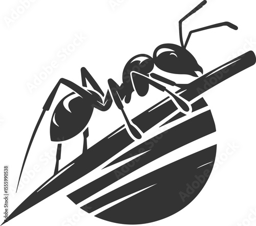 Vector ant silhouette black illustration drawing