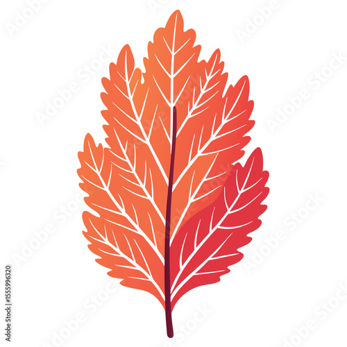 coral-leaf-isolated-realistic-on-white-background