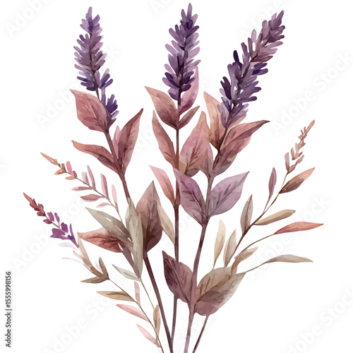 A Lavender Plant, watercolor clipart vector, isolated on a white background.