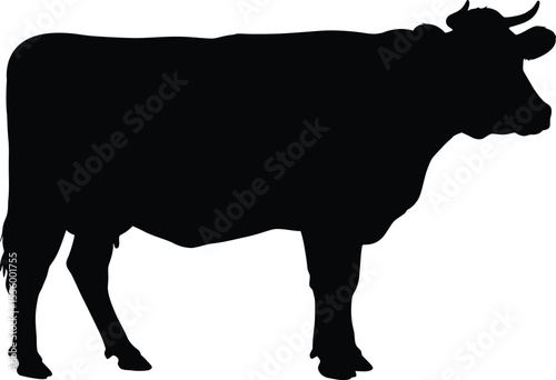 Black Cow Silhouette in Side View

