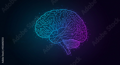 human brain model