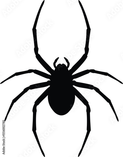 Spider Silhouette Vector Illustration


