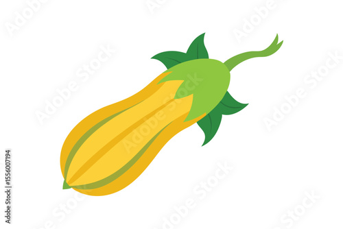 Realistic Zucchini Bloom Vector Illustration detailed vector illustration