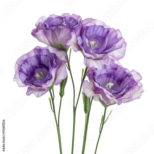 A bouquet of four vibrant purple Lisianthus flowers with delicate petals, artistically arranged. background removed
