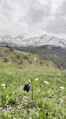 Summer storms, green meadows, tourism.