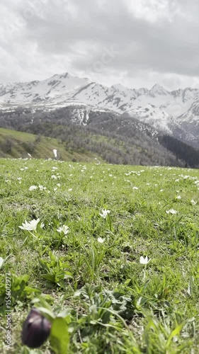 Summer storms, green meadows, tourism.