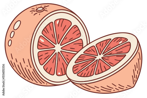 High Quality Vector Illustration of a Vibrant and Juicy Blood Orange