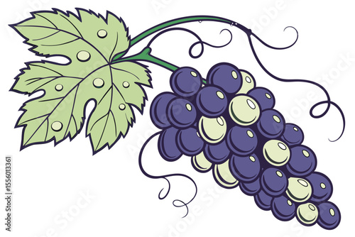 High Quality Vector Illustration of a Bunch of Grapes with Colorful Design