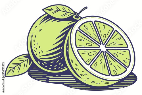 High Quality Lime Illustration Vibrant Citrus Fruit Graphic