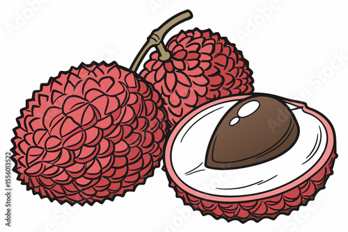 High Quality Lychee Fruit Illustration with Leaves and Stem