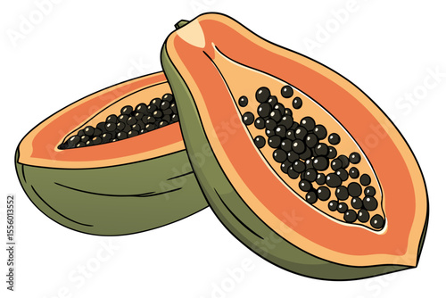 High Quality Papaya Illustration for Design