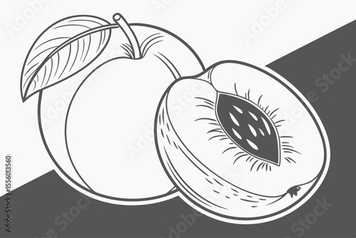 High Quality Vector Illustration of a Nectarine