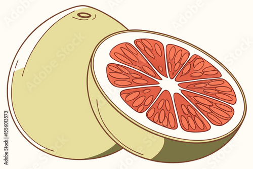 High Quality Pomelo Fruit Vector Illustration
