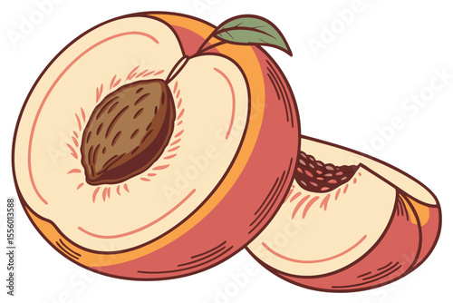 High Quality Vector Illustration of a Sliced Peach