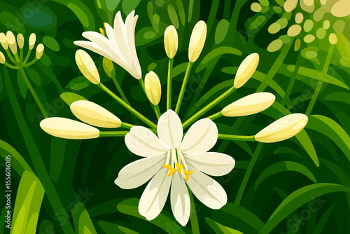The illustration showcases a blooming Crinum asiaticum, commonly known as Poison Bulb or Queen Lily. The plant features elegant white petals radiating from the center, surrounded by several long, slen