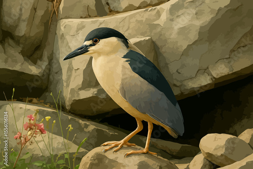 A Black-crowned Night Heron is perched on a rock in a natural rocky landscape. The bird has a striking appearance with a black crown and back, contrasting sharply with its white face and underparts. I