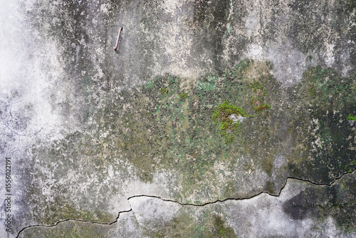 The old concrete texture has black stains and moss growing