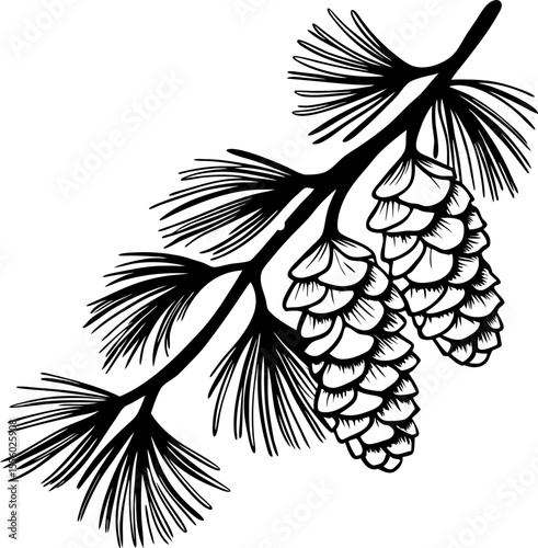 Monochrome illustration of pine branch with detailed pine cones and needles on white background