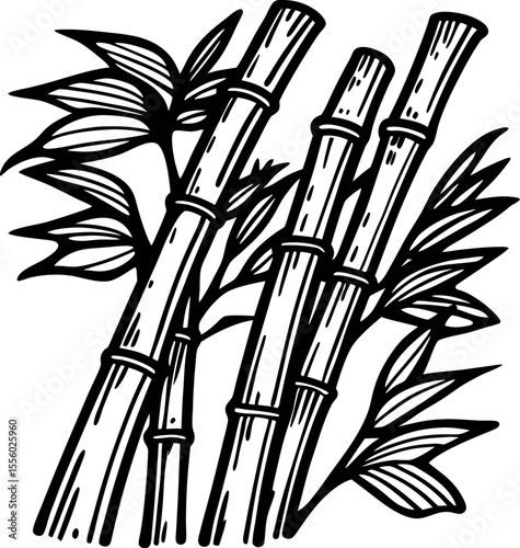 Hand drawn sugarcane stalks with leaves isolated on white background vintage botanical black and white engraving