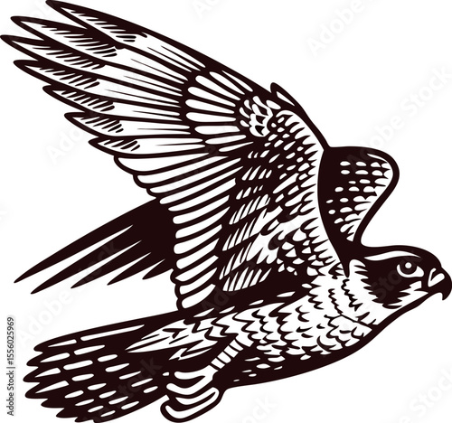 Hand drawn flying falcon illustration with bold black lines and intricate feather detail on white background