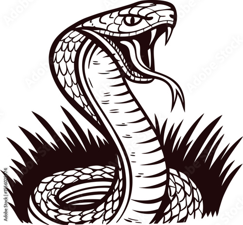 Hand drawn illustration of striking cobra with open mouth and fangs in detailed vintage