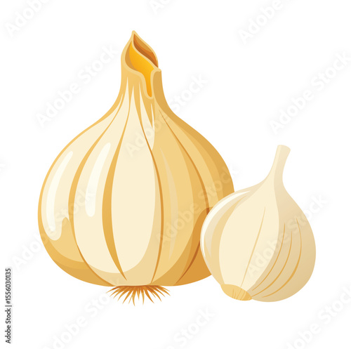 Two bulbs of garlic food ingredient
