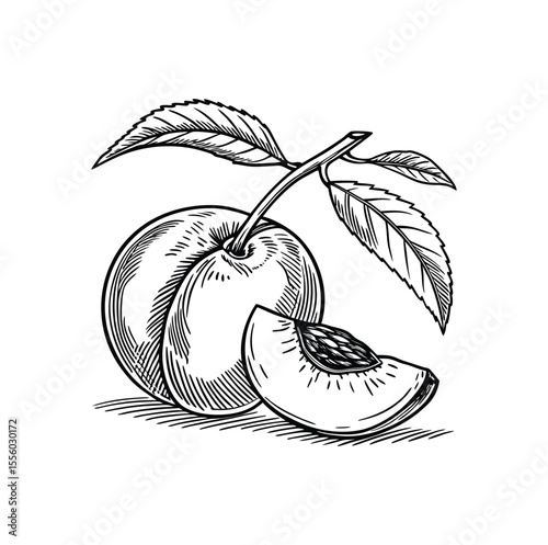 Whole and sliced plum with leaves fruit food