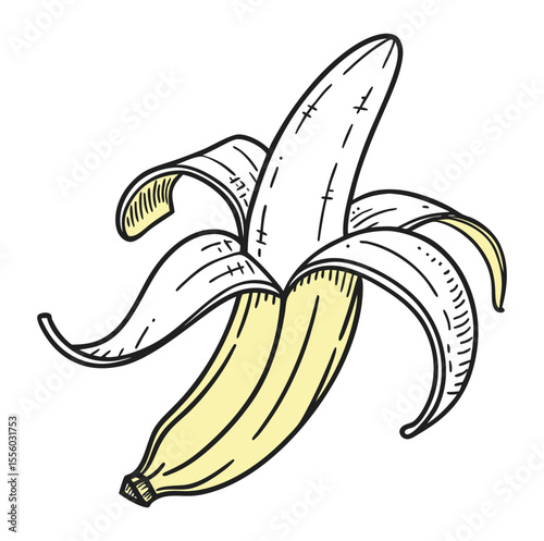 Peeled yellow banana sketch fruit