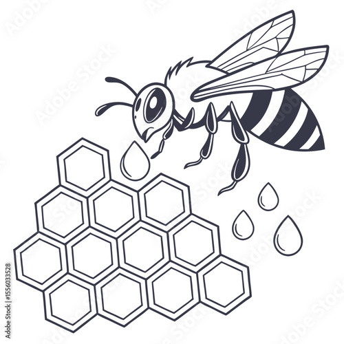 Natural Honey Pattern Vector
