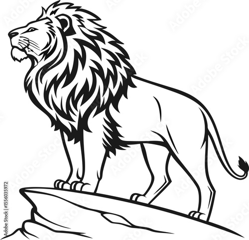 lion vector illustration