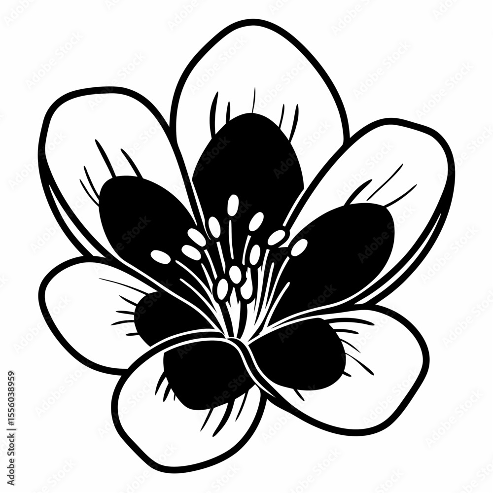 Obraz premium Elegant Black and White Flower Illustration Simple Floral Design