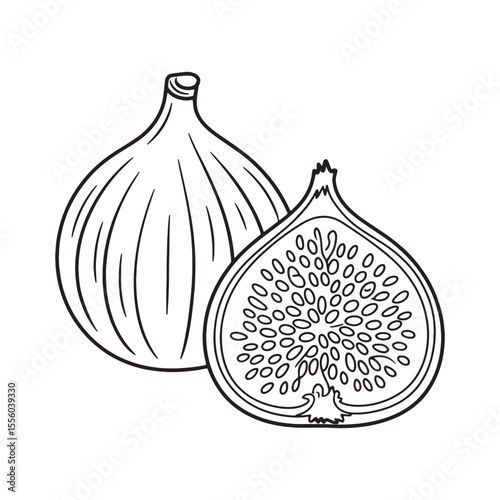 Detailed Black and White Illustration of a Fig and a Fig Half Displaying Seeds