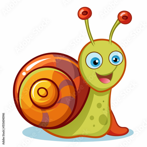 snail on a white background