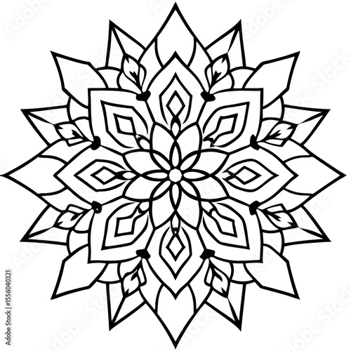 Winter Mandala line art  vector