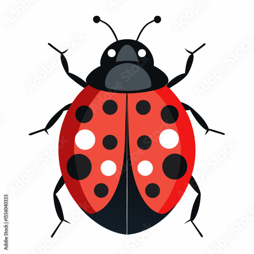 ladybug vector illustration, animal, isolated on white background