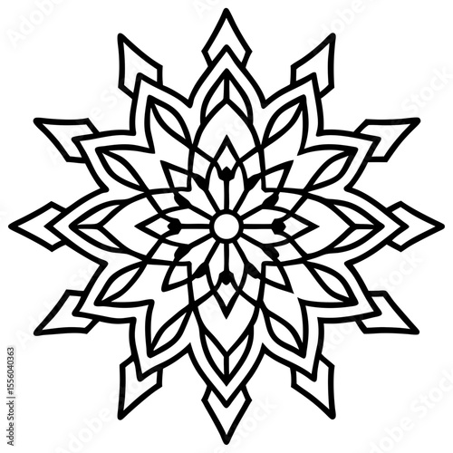 Winter Mandala line art  vector