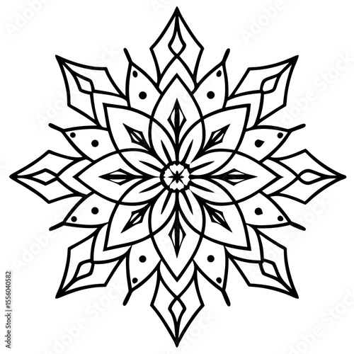 Winter Mandala line art  vector